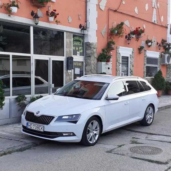 Pensiunea Sura, hotel v destinaci Orăştie