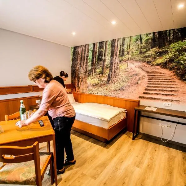 Landhotel am Wenzelbach, hotel v destinaci Prüm