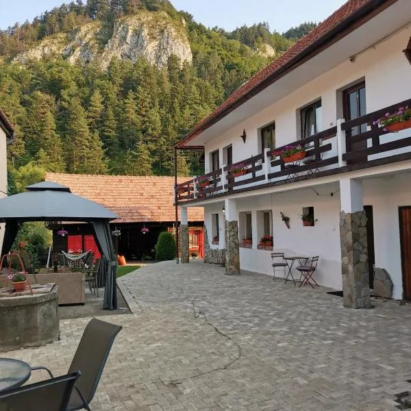 Guest House Piatra Craiului, готель у місті Ширня