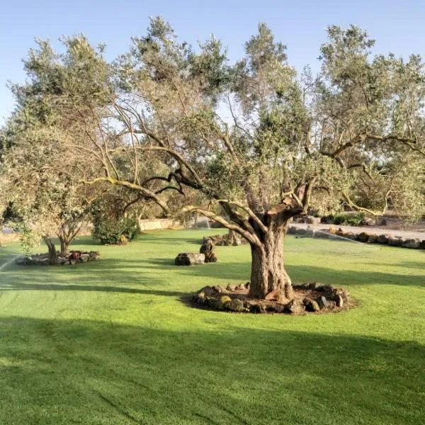 Su Sattisceddu, hotel in San Nicolò dʼArcidano