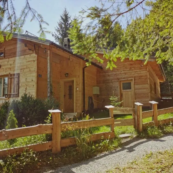 Stodingerhütte, hotel in Winkl
