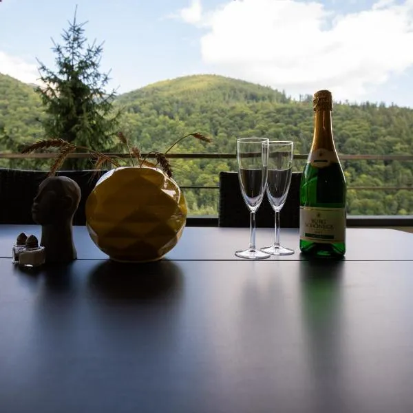 Apartament Maza, hotel in Sinaia