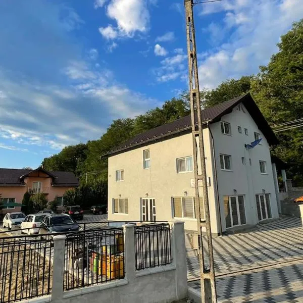 Pensiunea Ovidiu, hotel v destinaci Beclean
