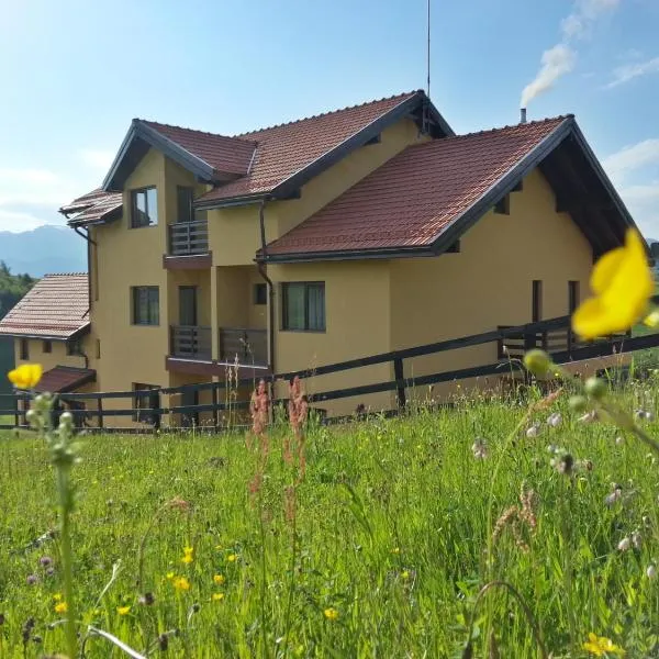 Pensiunea Crai Nou, hotel in Ciocanu