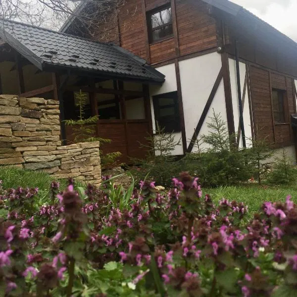 Шале Лаванда, hotel in Skole