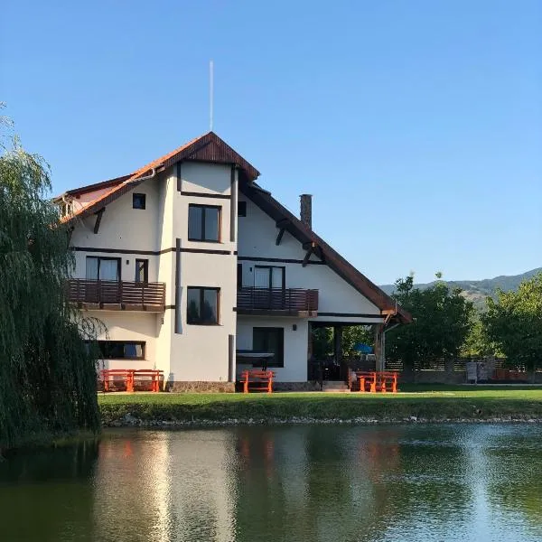 Pensiunea Trecatoarea Lupilor, hotel in Beiuş