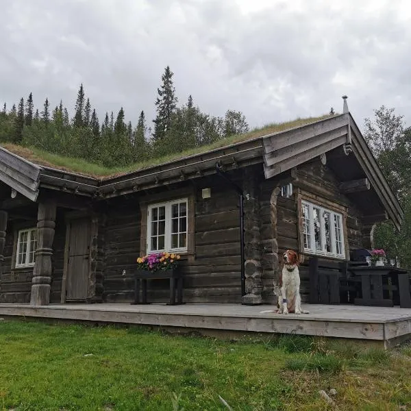 Liaplassen Fjellhytte, hotel en Ryfoss