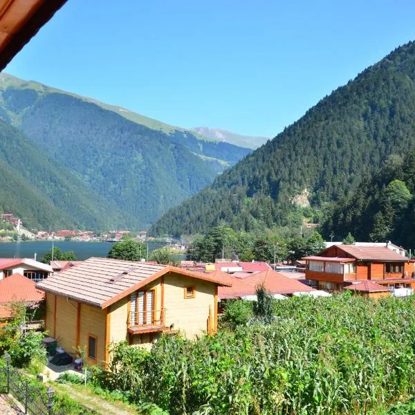 Kuzey Suites, hotel in Uzungol