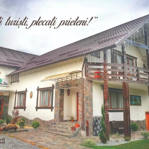 Lacrima Izei, hotel v destinaci Săcel