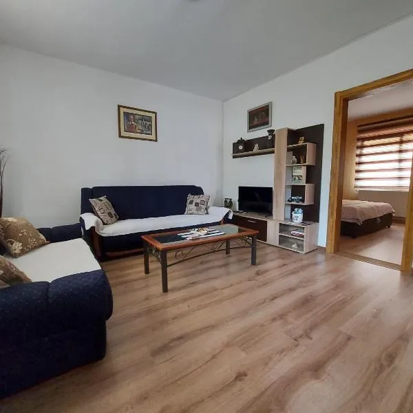 Apartman Jovičić, מלון בוישגראד