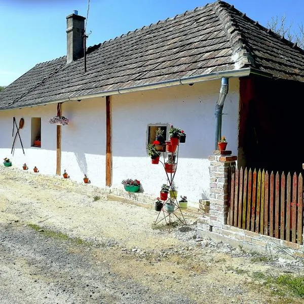Traditionelles Bauernhaus Flieder, hotel in Zalaszentgrót