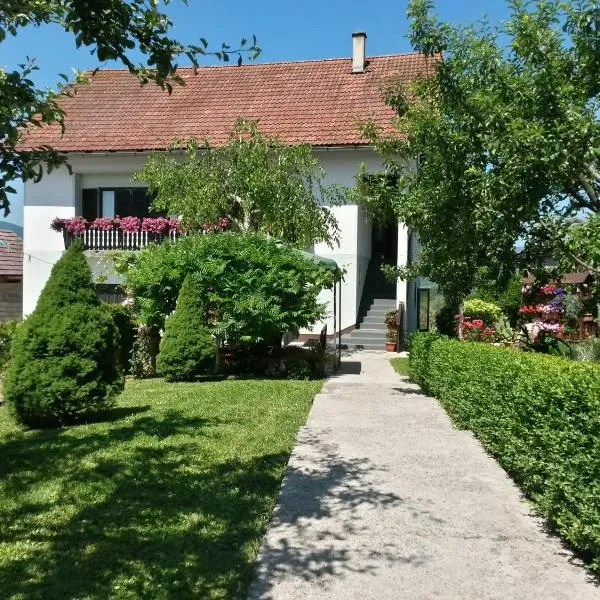 Guesthouse Pavličić, hotel u Drežnik Gradu