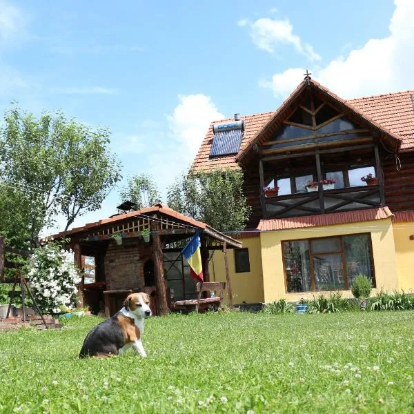 Cabana Ollie Retezat、Rîu Bărbatのホテル