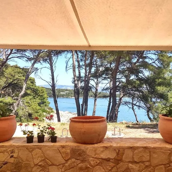 Stone Villa Hvar Ana Nikola Beach Park and Sea View, hotel v destinácii Jelsa