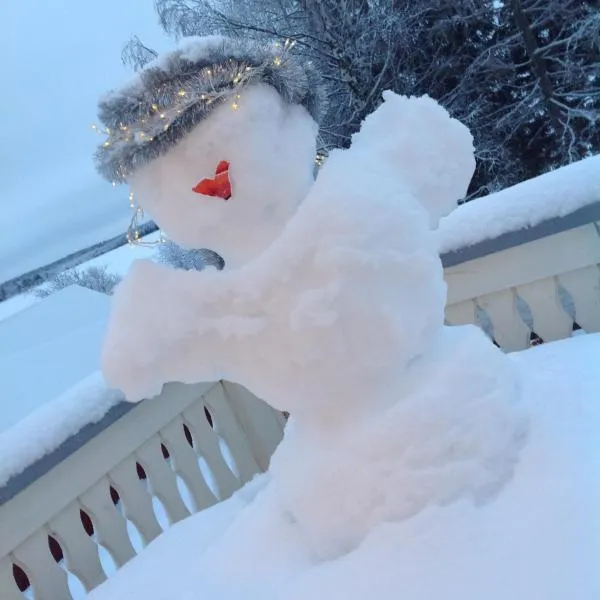 Lumi City Apartment, hotel v destinaci Levi