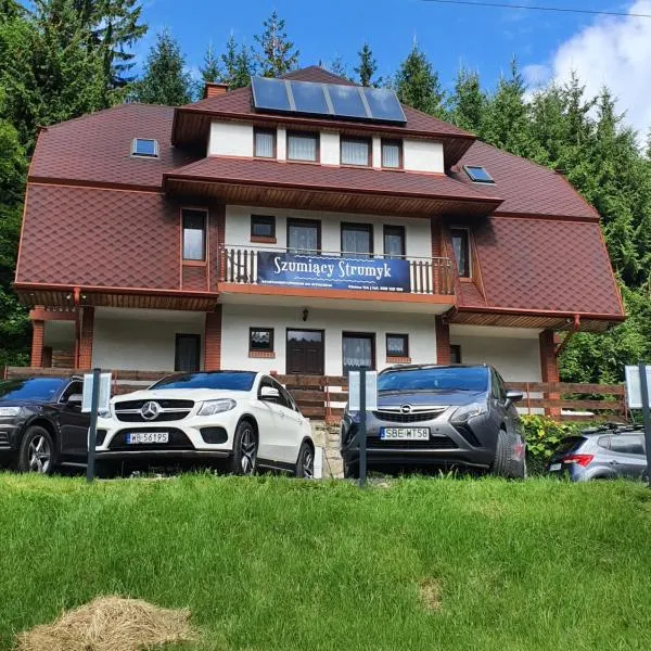 Szumiący Strumyk, hotel di Stronie Śląskie