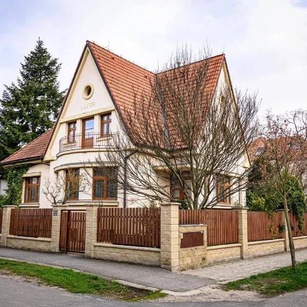 Vila Lumír, hotel in Poděbrady