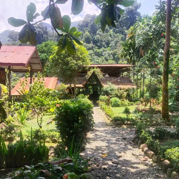 Mountain View Cottages & Villa Tangkahan، فندق في Tangkahan