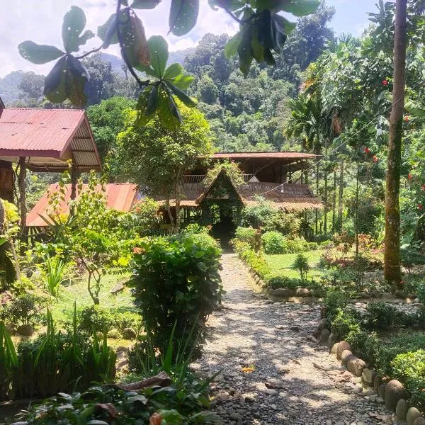 Mountain View Cottages & Villa Tangkahan, hôtel à Tangkahan