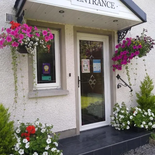 The Laurels Bed & Breakfast Lodge, hotel in Omagh