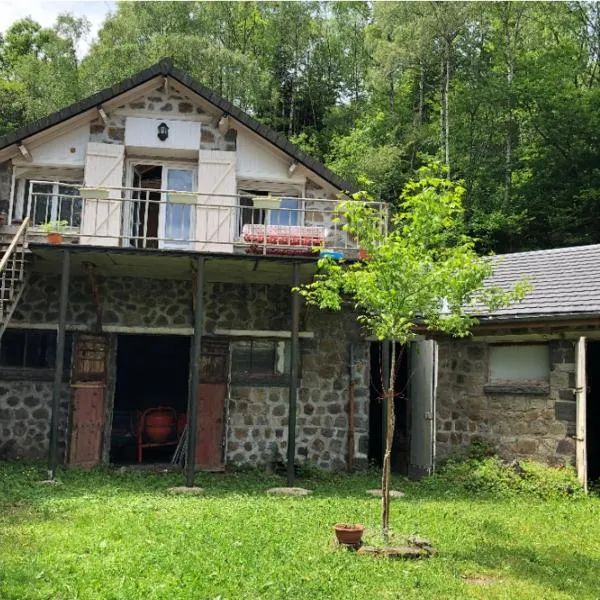 NANA 63, hotel in La Bourboule