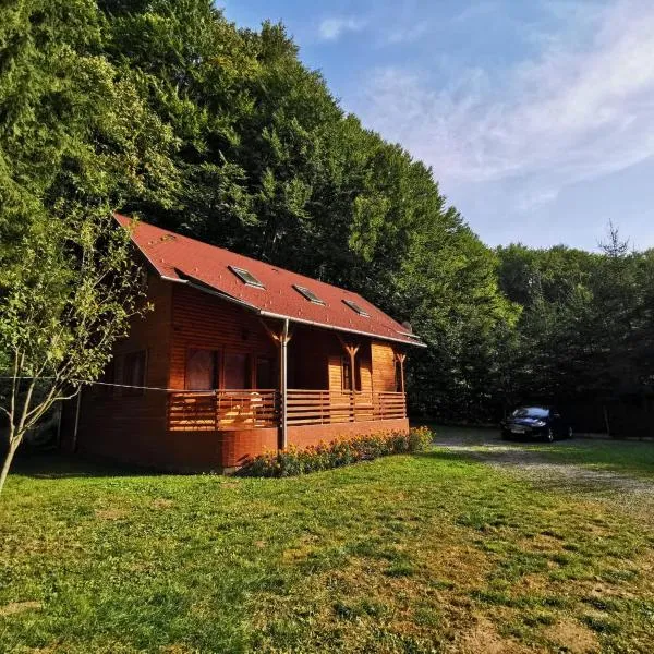 Holiday Guest House, hotel in Tîrnoviţa