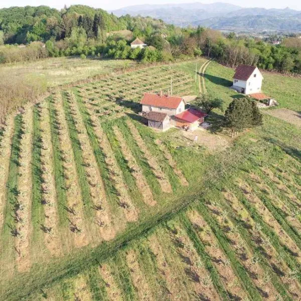 Vikend house, hotel di Belanovica