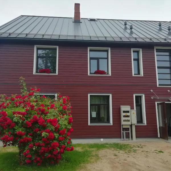 Salisburg Residence、Mazsalacaのホテル