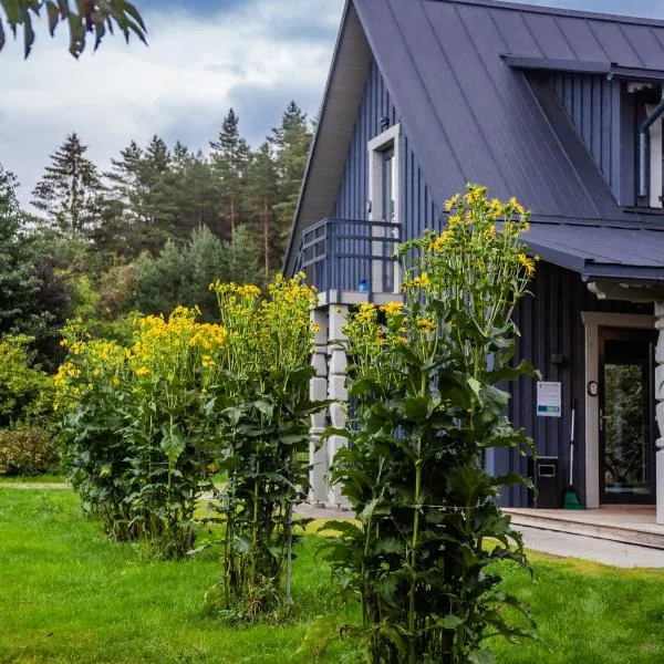 'Virš Ąžuolų'-Forest SPA -Holiday Home, hotel v destinaci Paplatelė