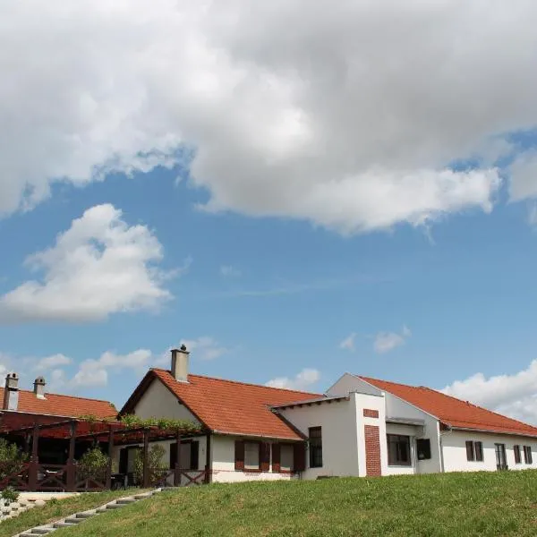 Tiffán's Pincészet és Panzió, hotel em Villány