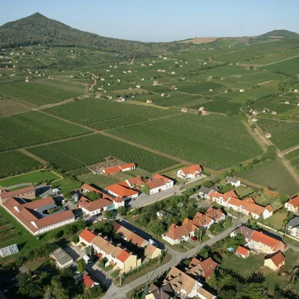 Tiffán's Pincészet és Panzió, hotel v destinácii Villány