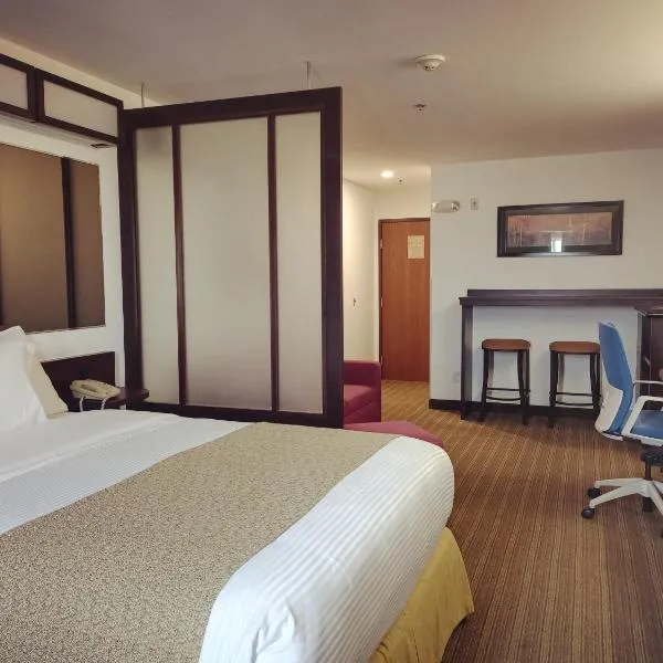 Microtel Inn and Suites by Wyndham Toluca, hotel v destinaci Toluca
