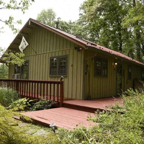 Fox Trot Cabin, hotell sihtkohas Dugspur