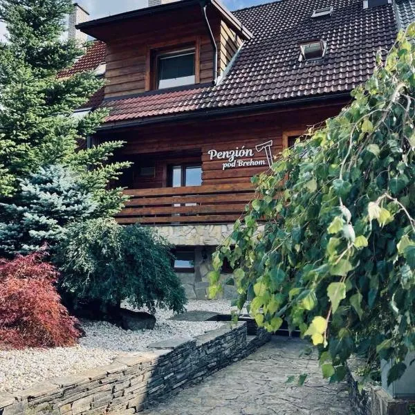 Penzion pod Brehom, hotel di Nová Bystrica