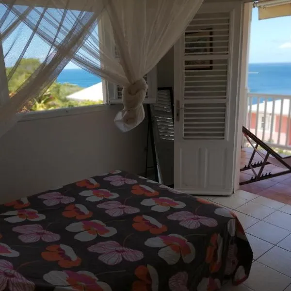 Rose phoenix appartement terrasse et piscine vue mer, Hotel in Les Anses-dʼArlets