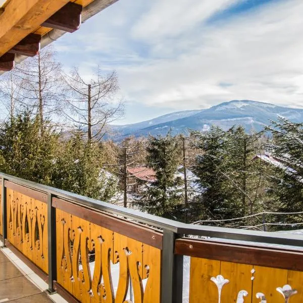 카르파츠에 위치한 호텔 Mikado