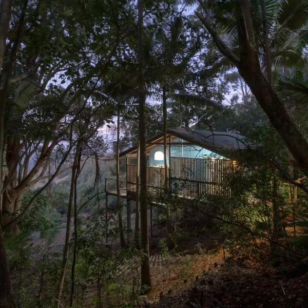 Treetops Seaview Montville, Hotel in Woombye