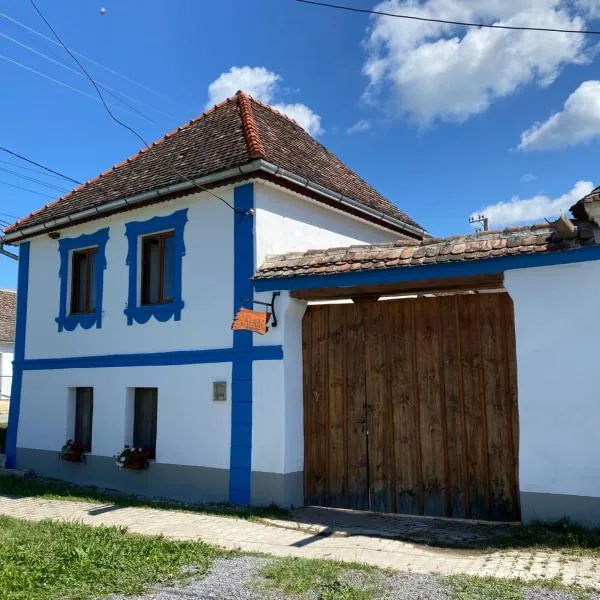 Casa de Vacanta FAMILY & FRIENDS, hotel in Roadăş