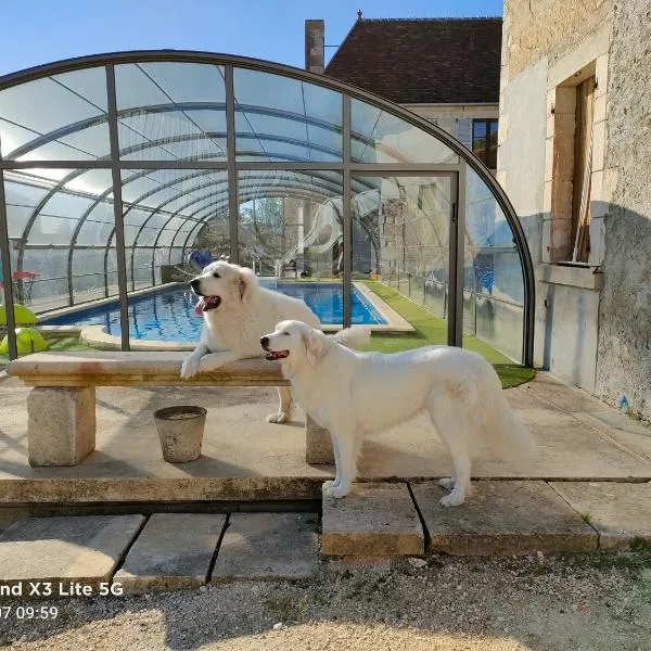 mon château en Berry, hotel in Brécy