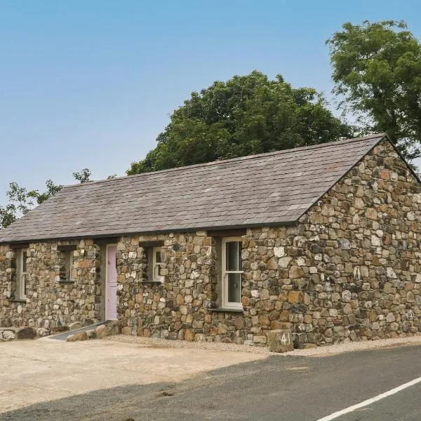 Old Shop Cottage, hotel in Limavady