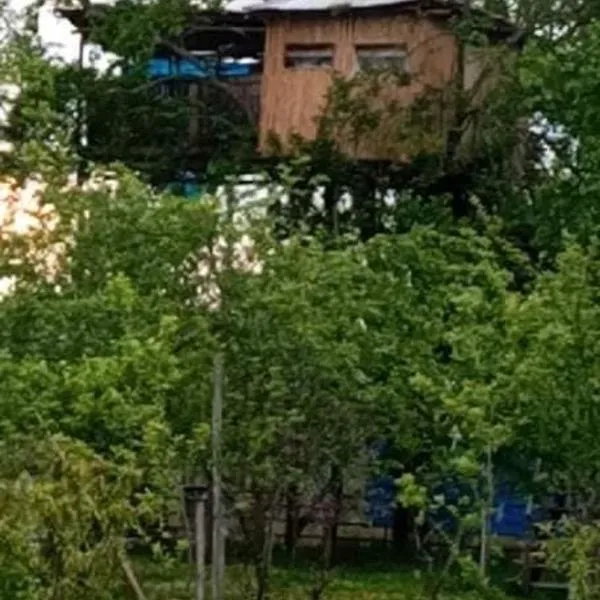 Eagle Nest, hotel di Nakhakhu