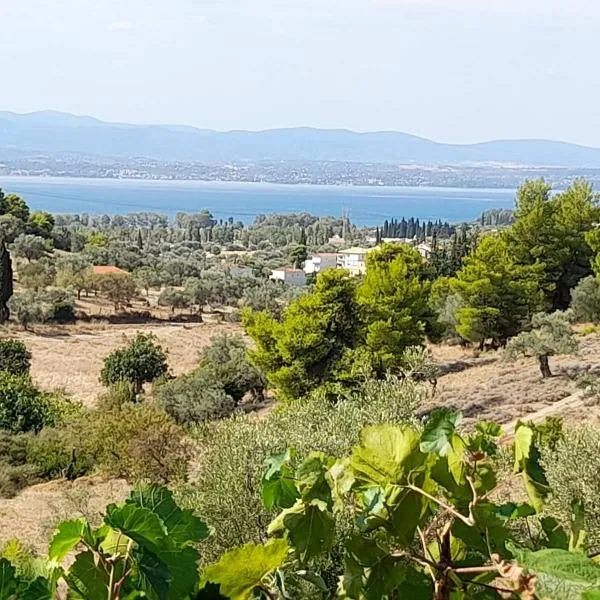 에레트리아에 위치한 호텔 PANORAMIC VIEW