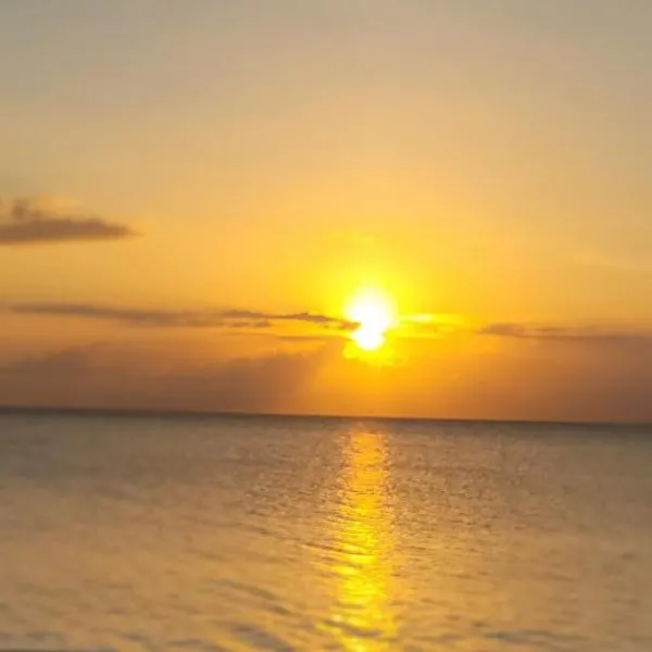 Airport Beach Hotel, hotel v destinaci Montego Bay