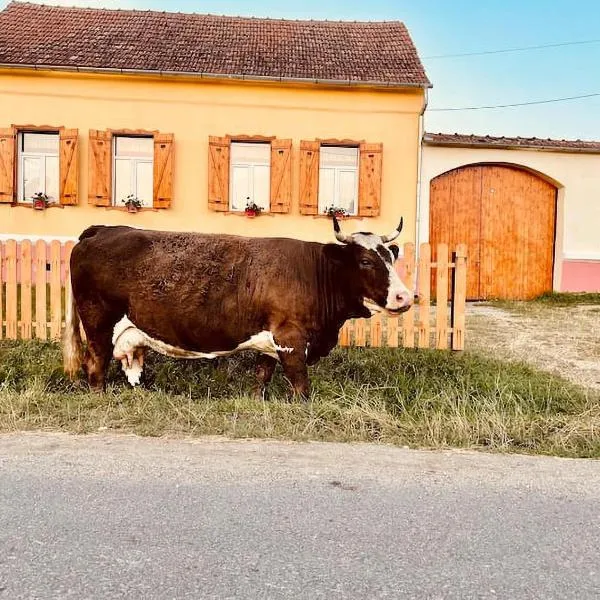 Chalet Giuel, отель в городе Bărcuţ