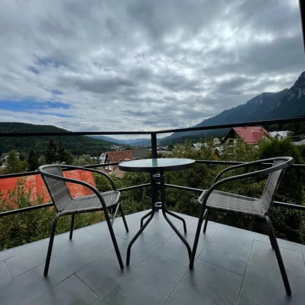 Gray Apartments Busteni, hotel em Buşteni