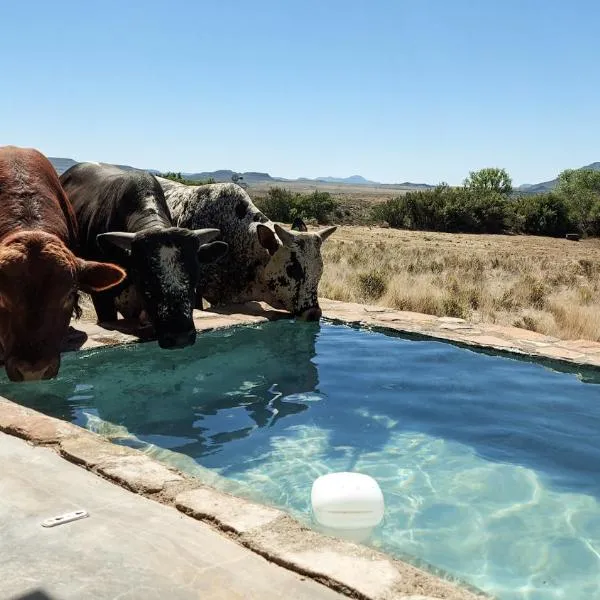 Karoo Ridge Eco-Lodges, hotel in Spring Valley