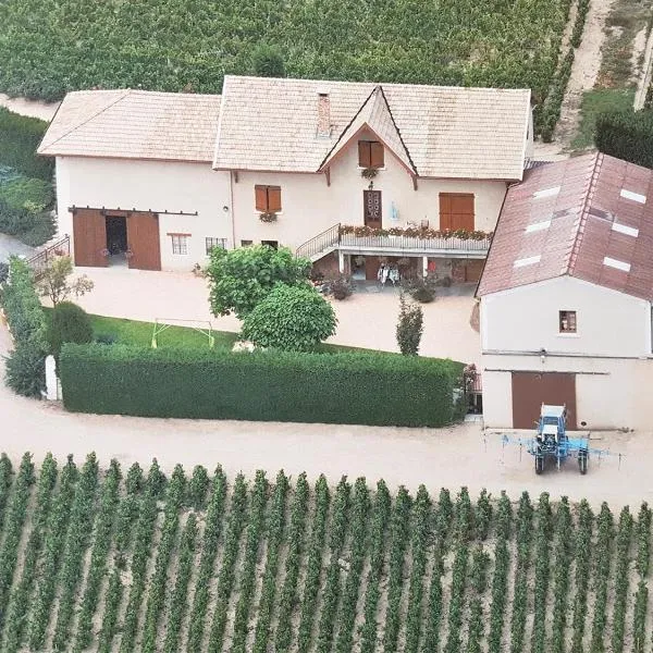 Chambres d hôtes au Domaine de Robert, hotel in Fleurie