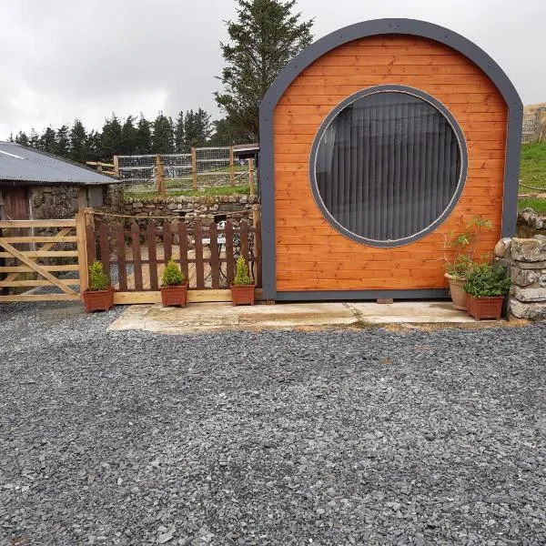 Penystryd, hotel v destinaci Trawsfynydd
