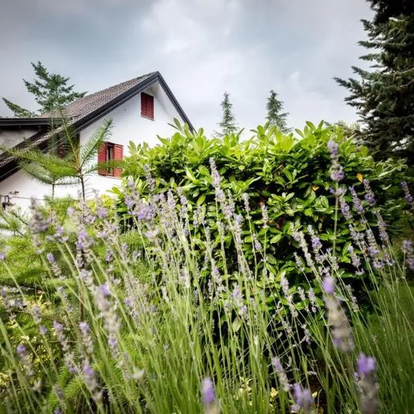 Le Conifere, hotel u gradu Pignola