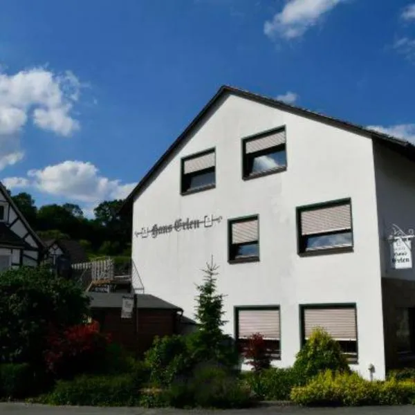 Haus Erlen, hotel in Olsberg